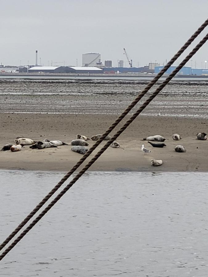 Det Bla Gaestehus Fanø 外观 照片
